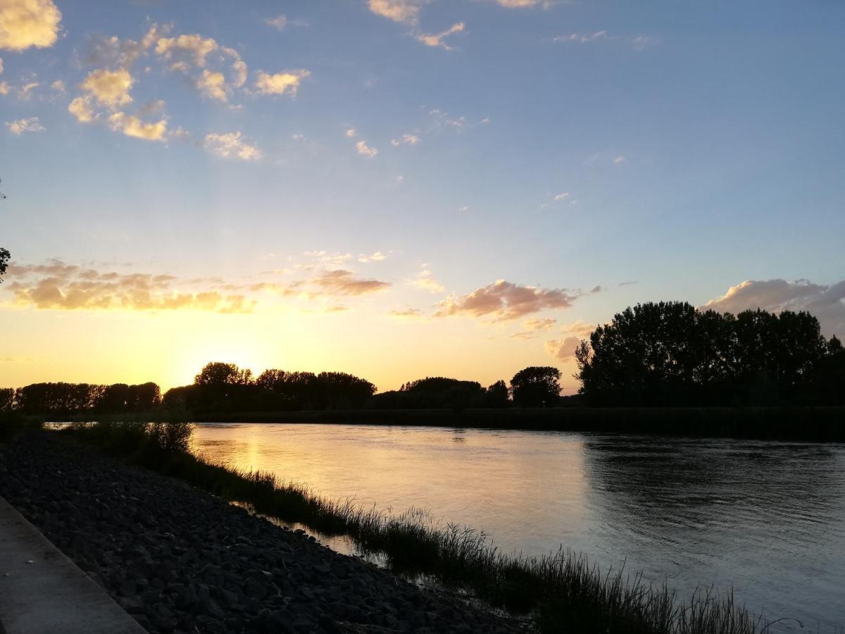 B&B De Stuifduinen Wetteren Kültér fotó