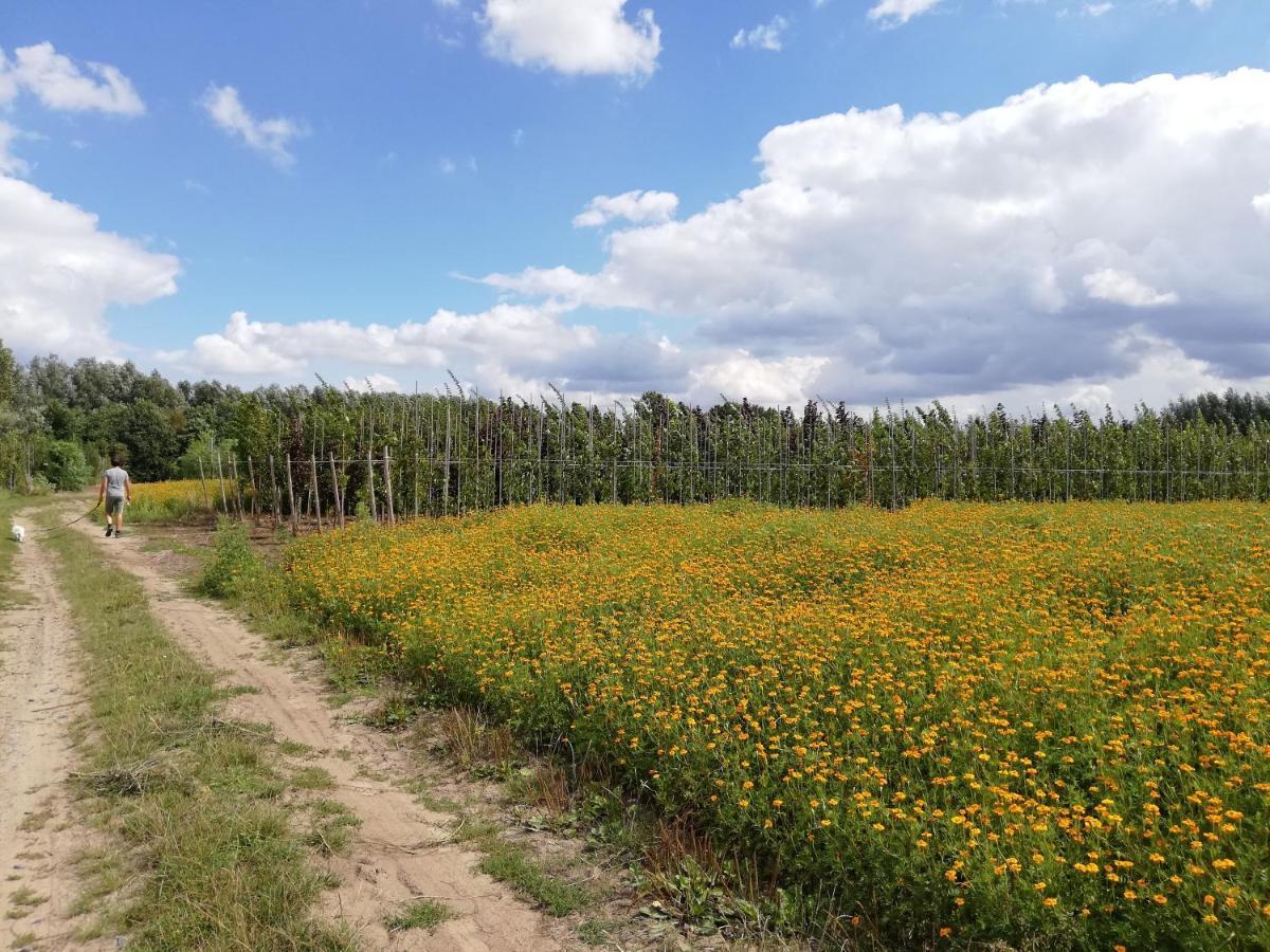 B&B De Stuifduinen Wetteren Kültér fotó