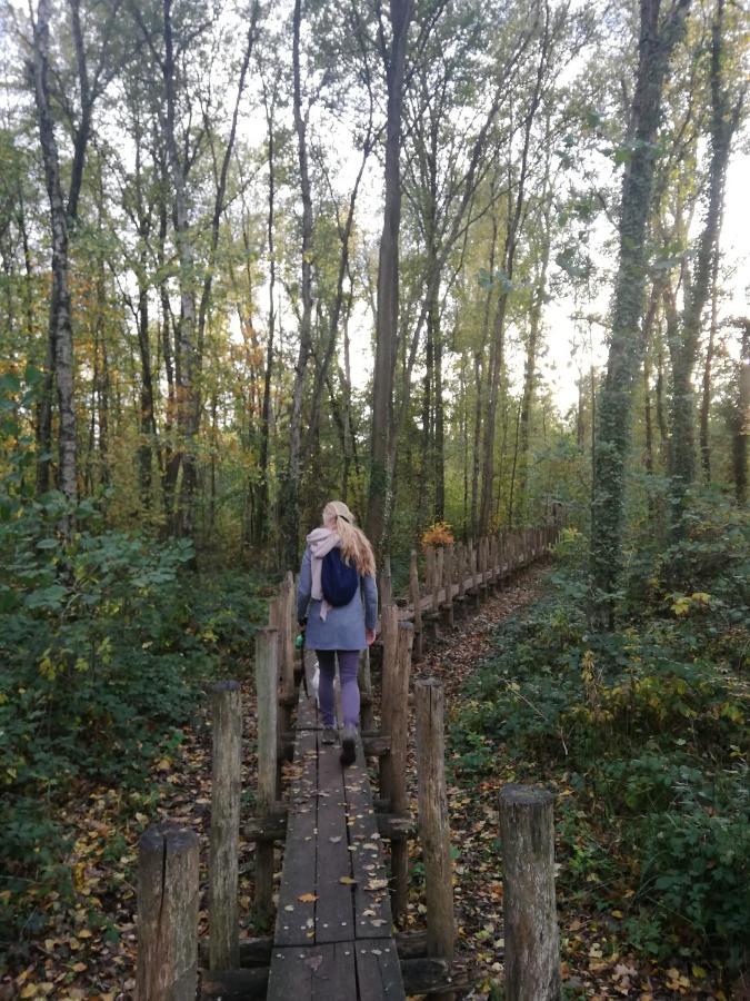 B&B De Stuifduinen Wetteren Kültér fotó
