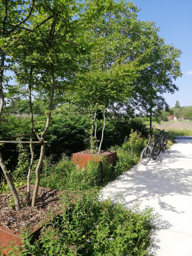 B&B De Stuifduinen Wetteren Kültér fotó