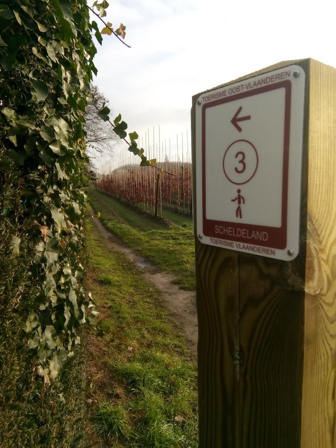 B&B De Stuifduinen Wetteren Kültér fotó