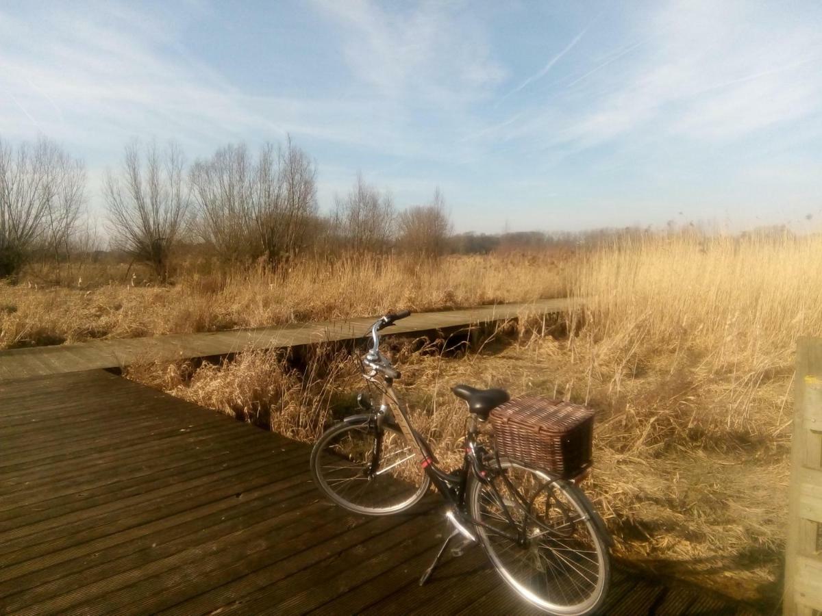B&B De Stuifduinen Wetteren Kültér fotó